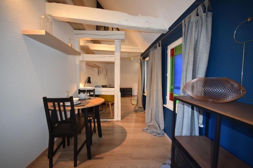 Le Studio Du Quai Des Pecheurs - Charmant Duplex Sur Les Quais Страсбург Екстериор снимка