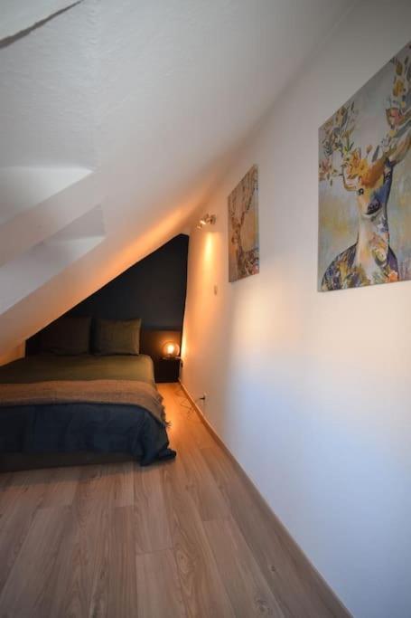 Le Studio Du Quai Des Pecheurs - Charmant Duplex Sur Les Quais Страсбург Екстериор снимка