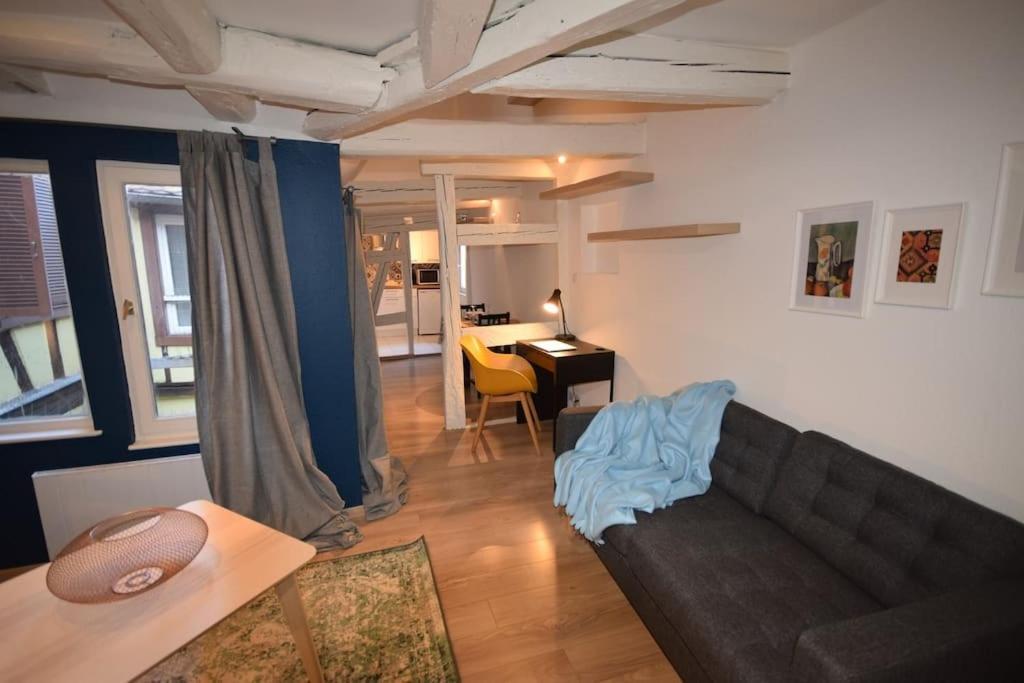 Le Studio Du Quai Des Pecheurs - Charmant Duplex Sur Les Quais Страсбург Екстериор снимка