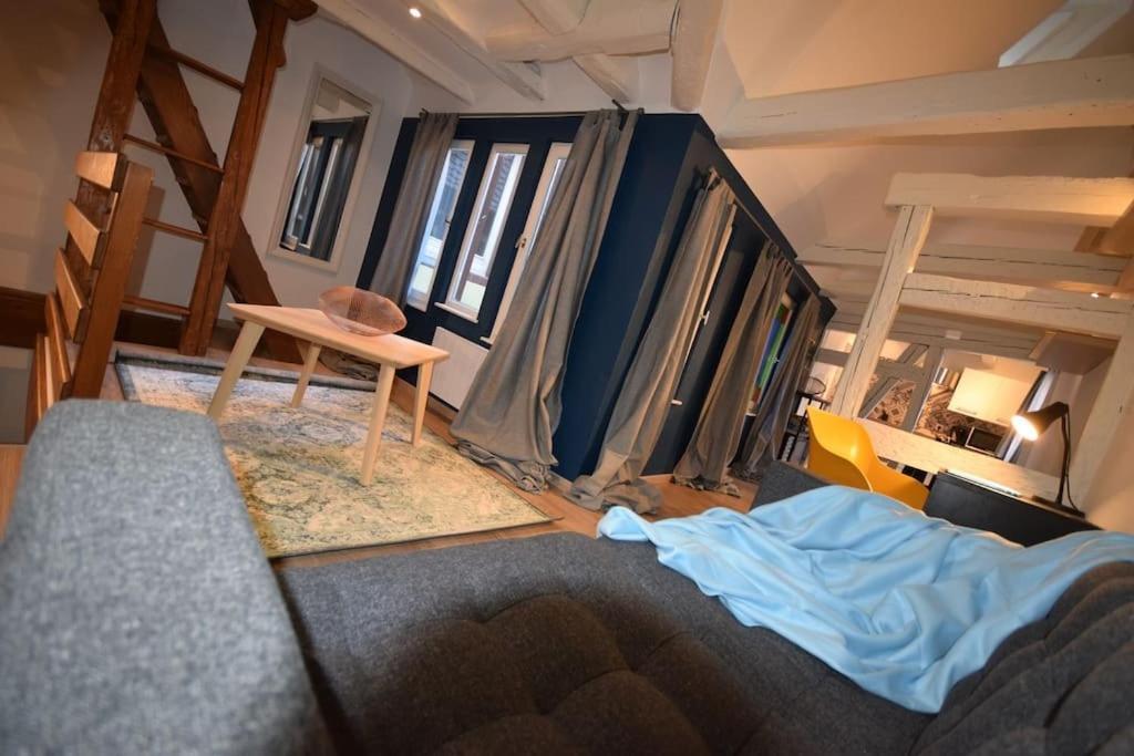 Le Studio Du Quai Des Pecheurs - Charmant Duplex Sur Les Quais Страсбург Екстериор снимка