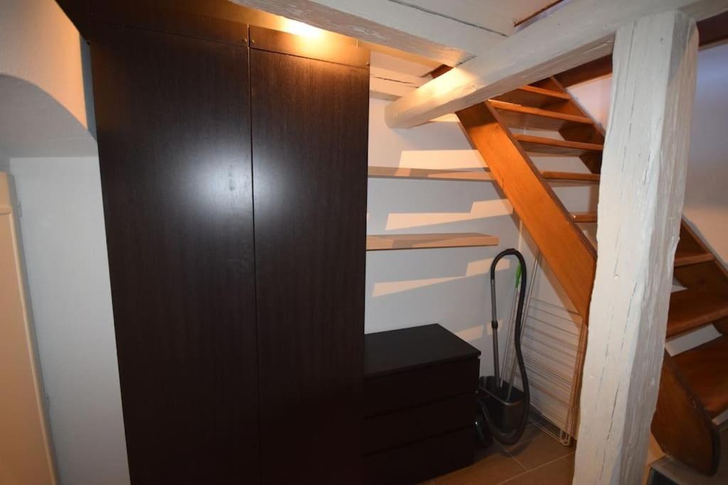 Le Studio Du Quai Des Pecheurs - Charmant Duplex Sur Les Quais Страсбург Екстериор снимка